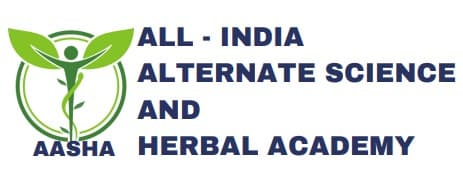 Paramedical logo